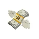 Logo Social Profit Accelerator