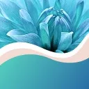 Logo Selbständig. 💠 Echt. Du.