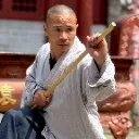 Logo Shaolin & Meihua Temple