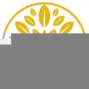 Logo SHINSHI NETWORK