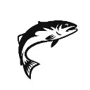 Logo Skool of Fish