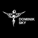 Logo Sky University 2.0