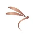 Logo Soulful Awakening