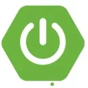 Logo Spring Boot Academy