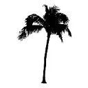 Logo Closer Libre