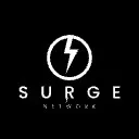 Logo Surge Network