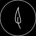 Logo The <mark>Healing</mark> Oasis