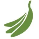 Logo The Practice Formula for Flute