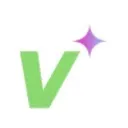 Logo The Vibe Marketers