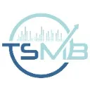 Logo The Social Media Blueprint