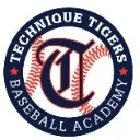 Logo Technique Baseball Online
