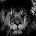 Logo LIONS OF FAITH