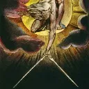 Logo Sovereign Signal