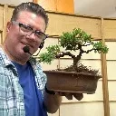Logo Vic’s <mark>Backyard</mark> Bonsai Studio